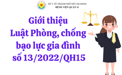Giới thiệu Luật Phòng, chống bạo lực gia đình số 13/2022/QH15